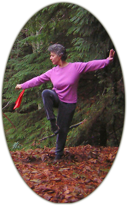 Jan Parker Tai Chi (taiji) sword technique